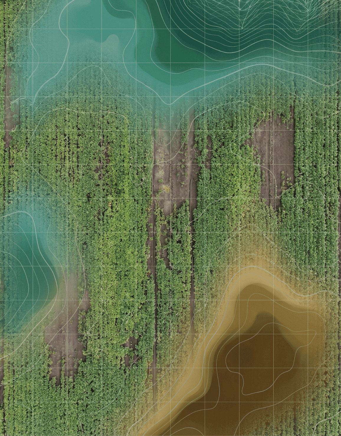 Map 4